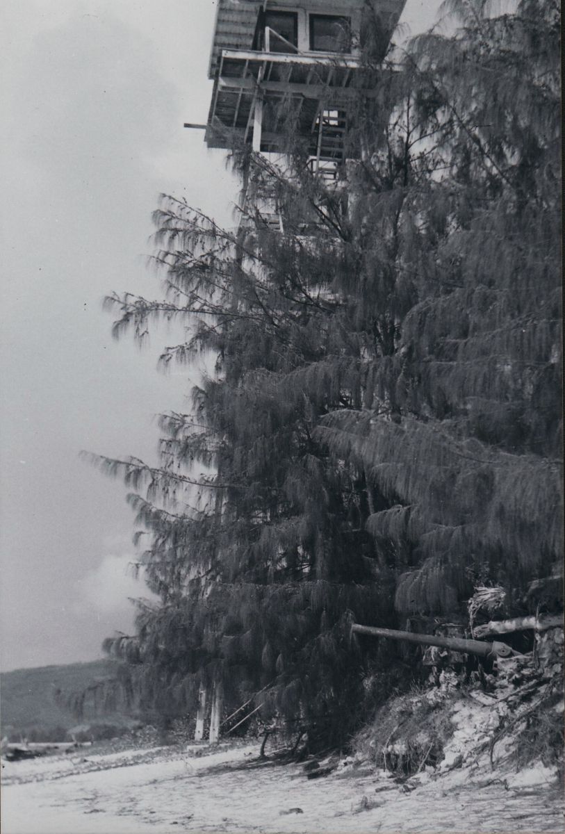 The roofed and windowed hut atop a tall watchtower emerges from the tops of trees that hide almost completely the scaffolding of the tower supporting it.